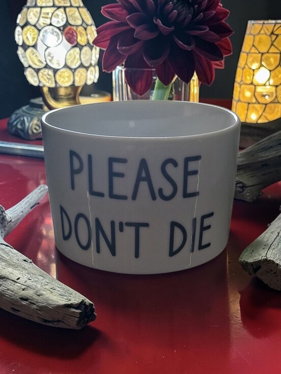 Other - Please Dont Die Ceramic Planter with Bamboo Tray